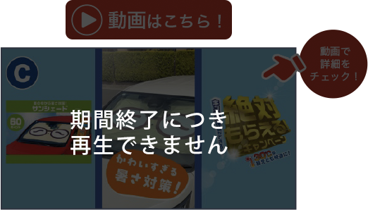 動画で詳細をチェック!