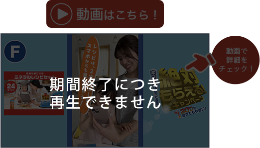 動画で詳細をチェック!