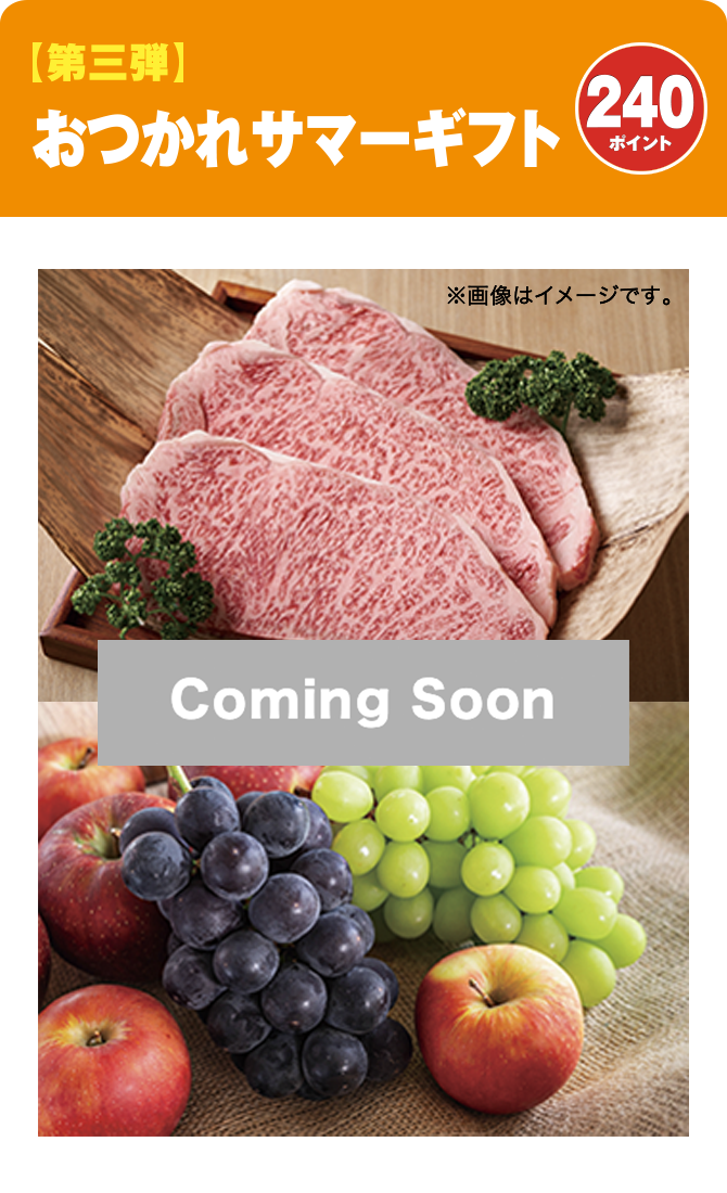 第三弾 おつかれサマーギフト 240ポイント