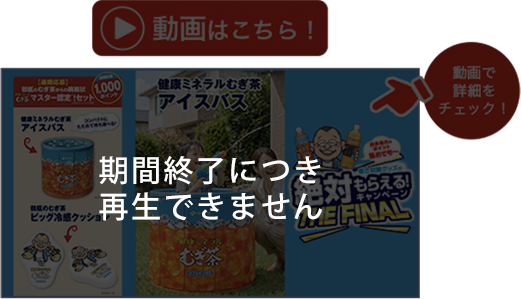 動画で詳細をチェック!